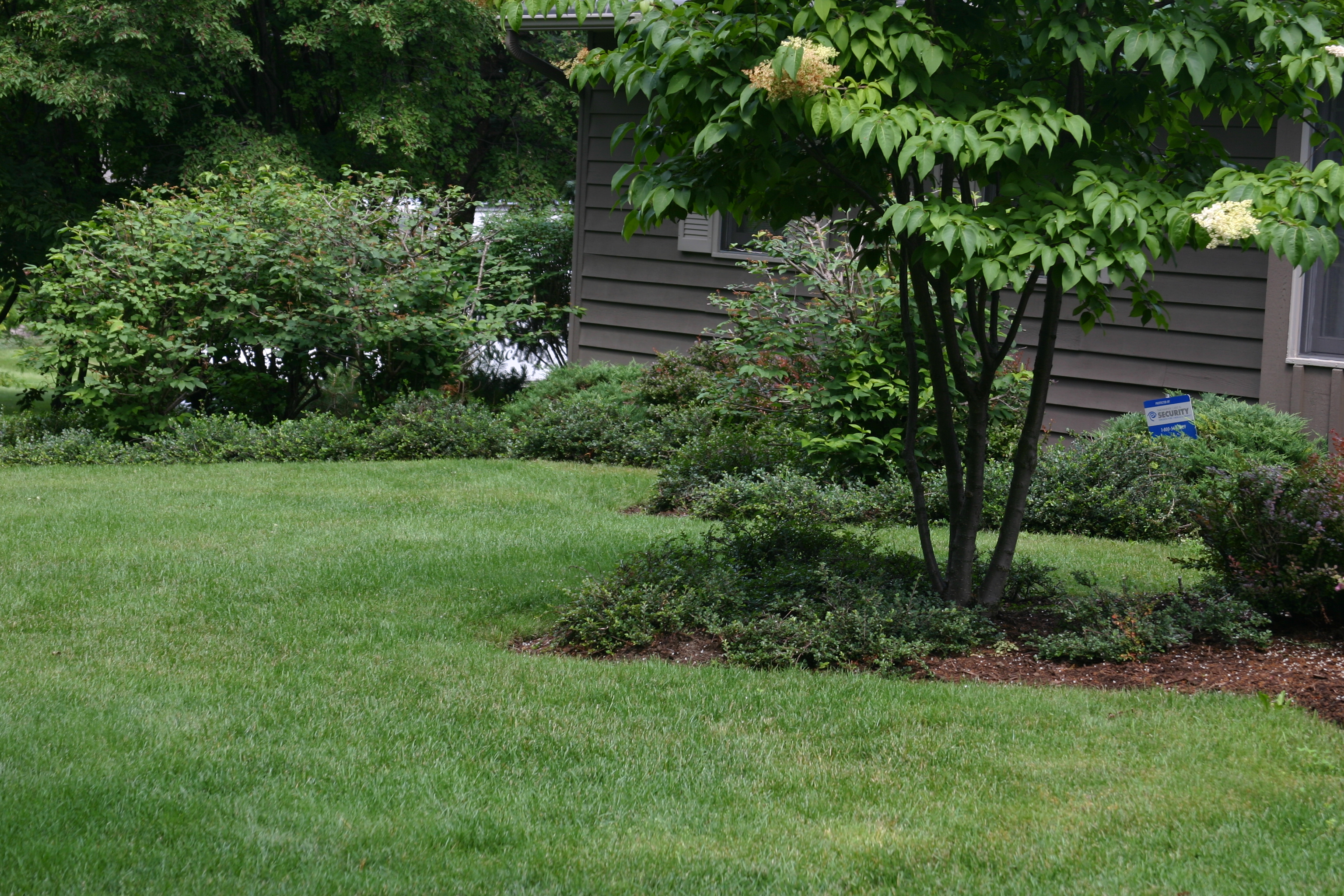 Lawn applications that work!